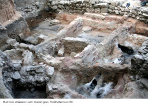 Sidon Excavation - Mud brick. Third Millennium